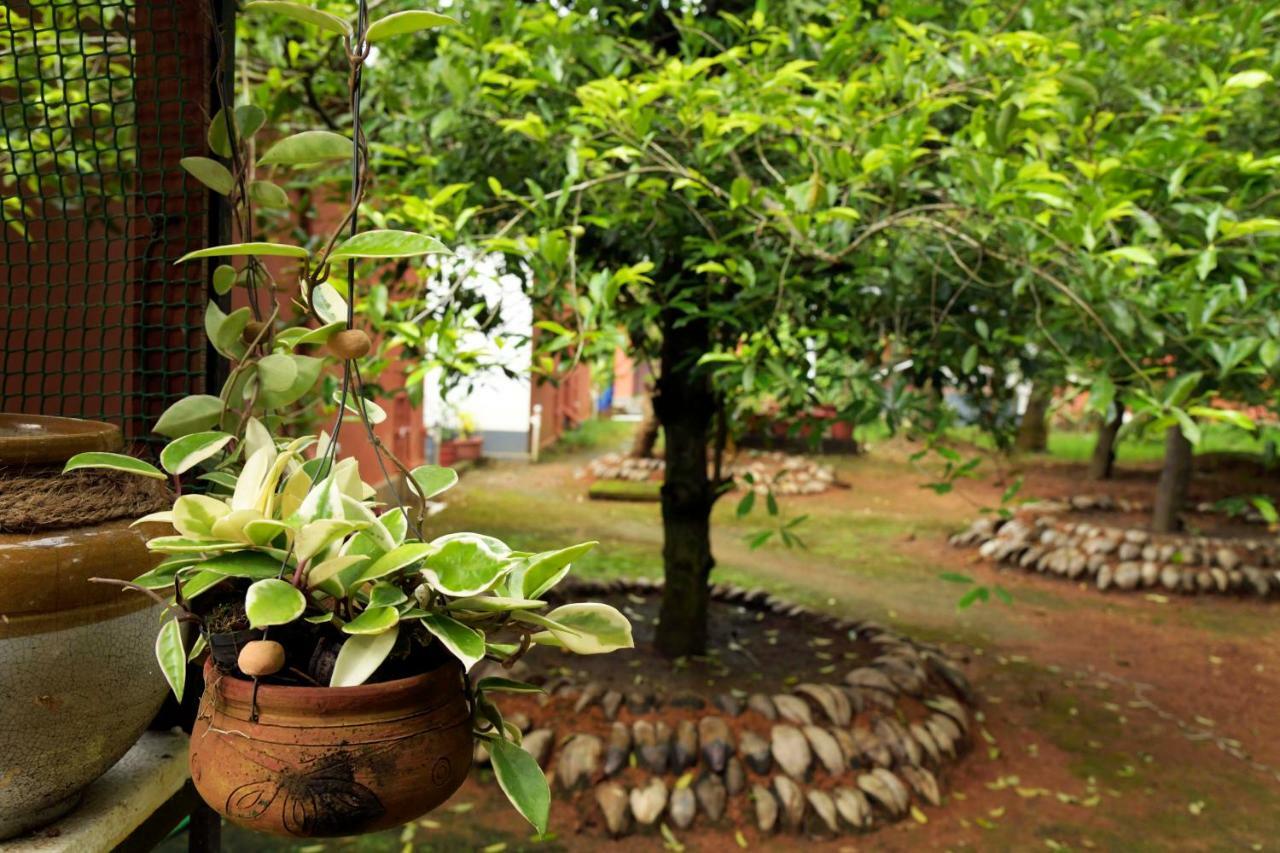 Stayvista At La Riva Heritage Villa With Bicycle Alappuzha ภายนอก รูปภาพ